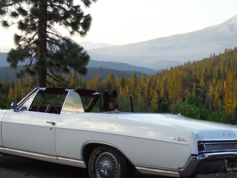 1966 Buick Skylark 3
