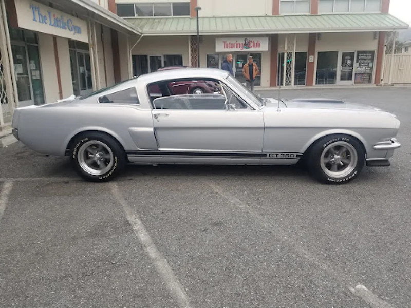 1966 Ford Shelby Tribute Fastback Gt350