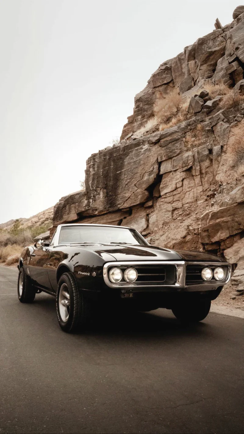 1967 Pontiac Firebird 11