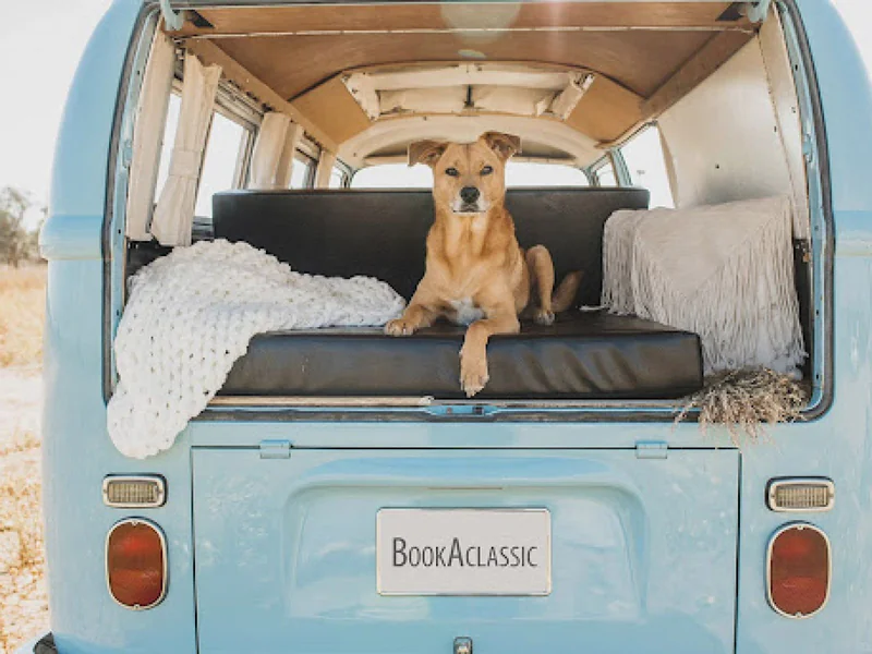 1968 Volkswagen Bus 9
