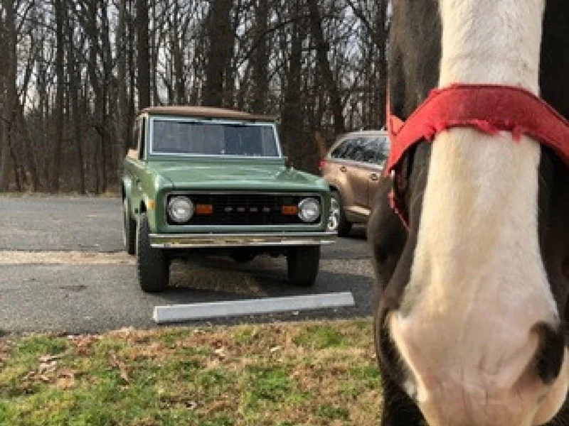 1974 Ford Bronco