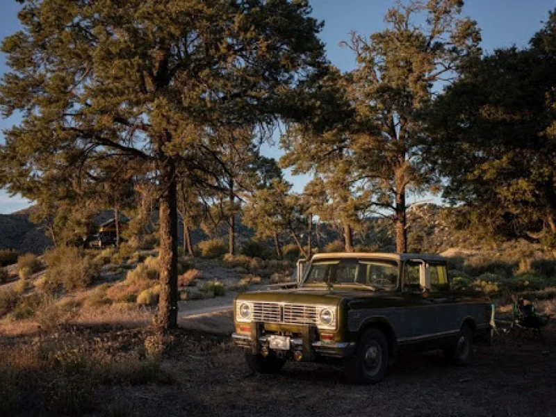 1973 International Wagonmaster 10