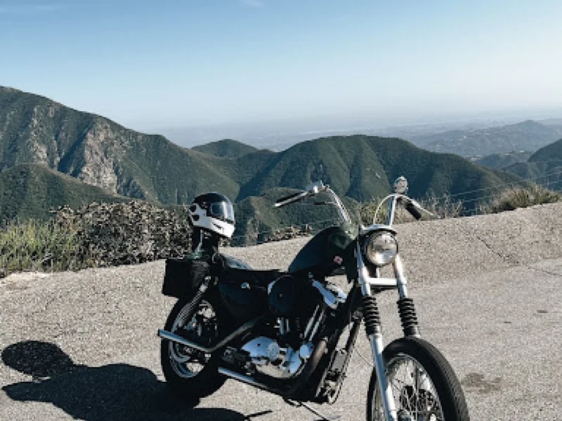 1999 Harley-Davidson Sportster 5