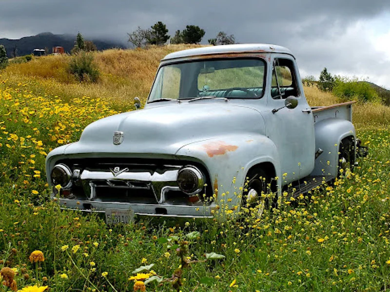 1954 Ford Truck 8