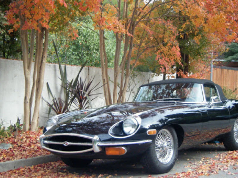 1969 Jaguar E-Type Roadster 6