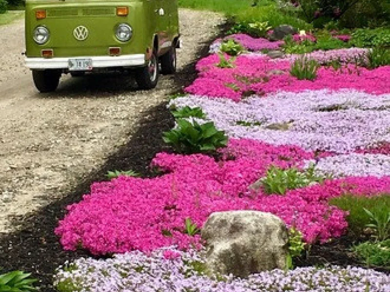 1977 Volkswagen Transporter Westfalia Camper 7