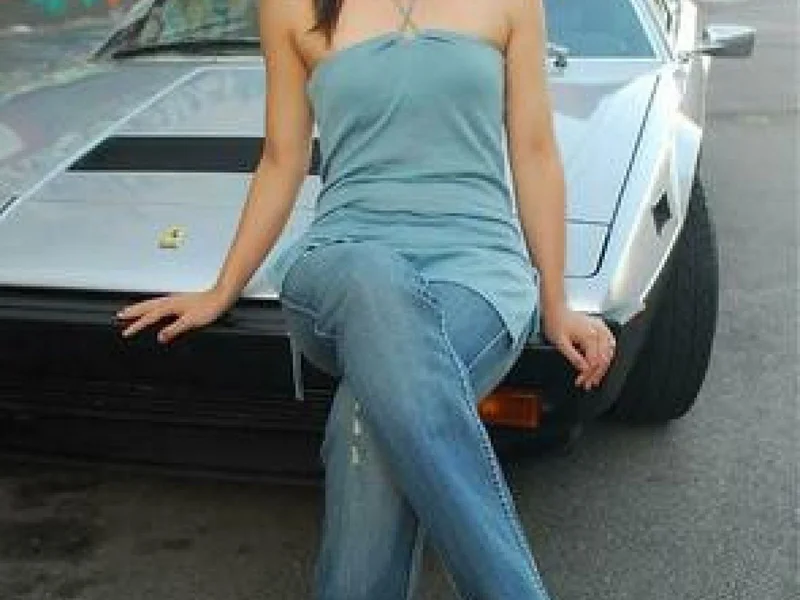 1975 Ferrari Dino 308 gt4