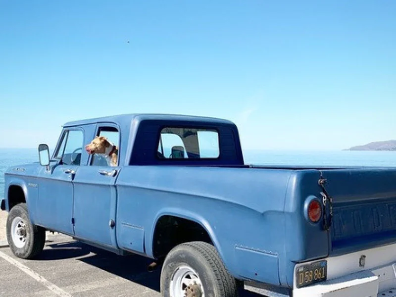 1964 Dodge Power Wagon Crew Cab 8