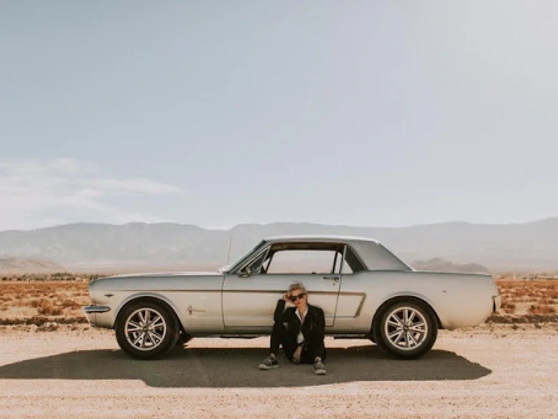 1965 Ford Mustang 16