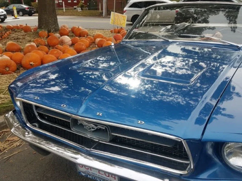 1967 Ford Mustang