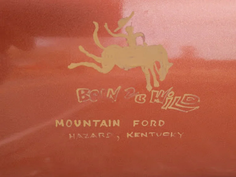 1995 Ford Bronco Eddie Bauer 4