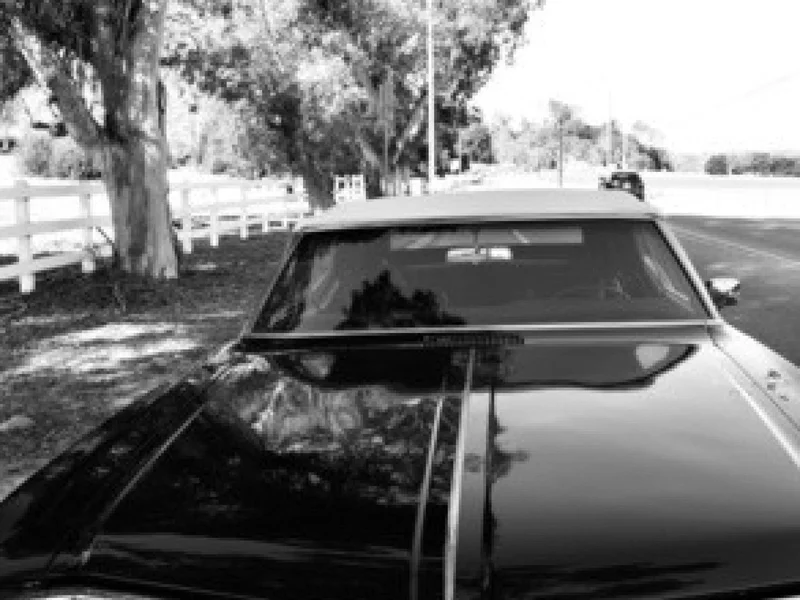 1968 Buick Wildcat 7