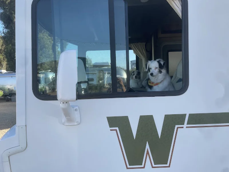 2015 Winnebago Brave 27b 4