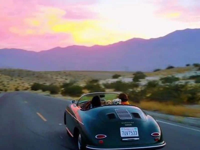 1956 Porsche Speedster Replica 2