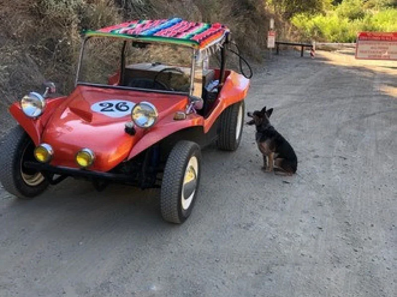 1965 Volkswagen Dune buggy 6
