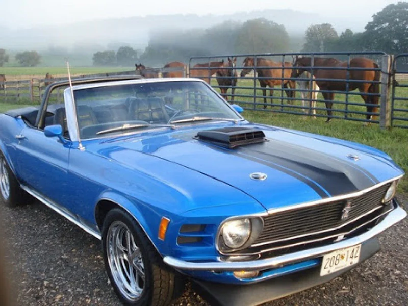1970 Ford Mustang 6