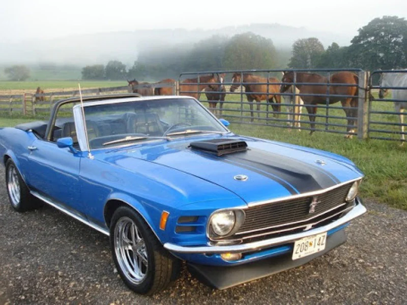 1970 Ford Mustang 8