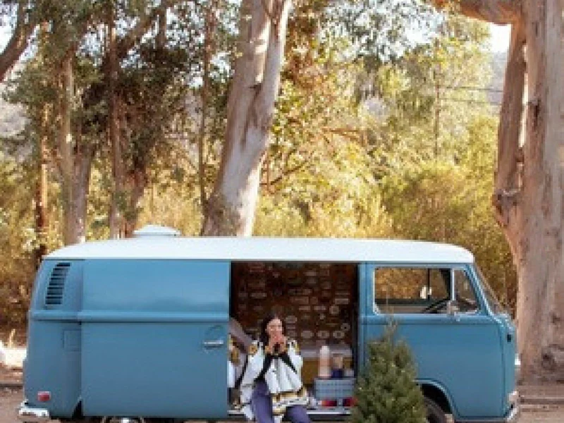 1972 Volkswagen Panel Van