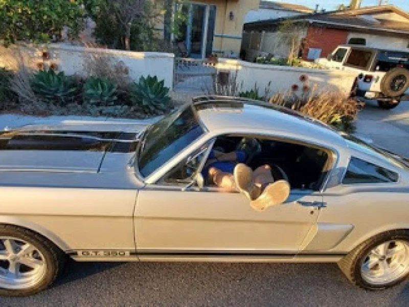1966 Ford Mustang Shelby GT350 10