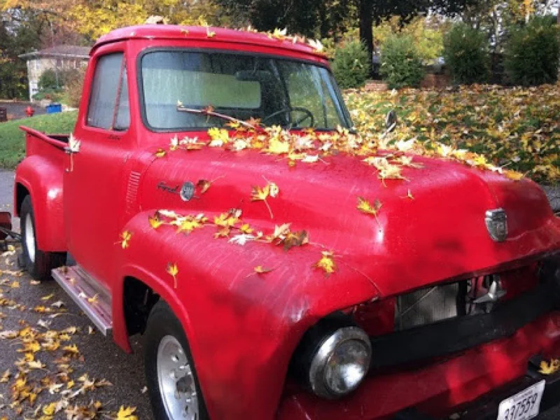 1955 Ford F-100 4