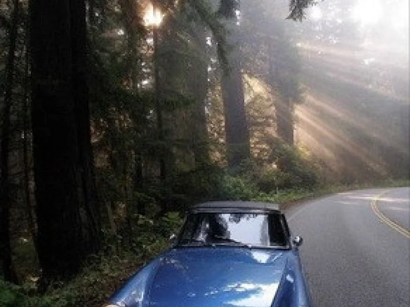 1965 Sunbeam Tiger Mk1 7