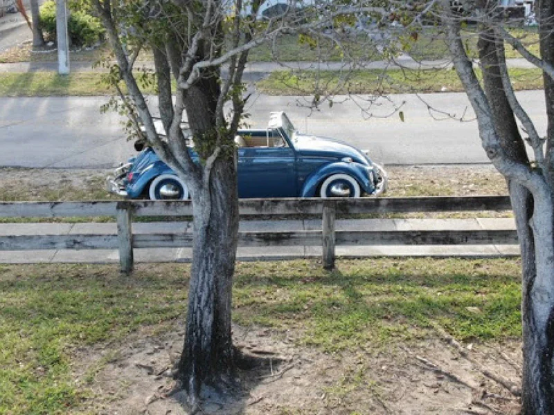 1964 Volkswagen Beetle 16