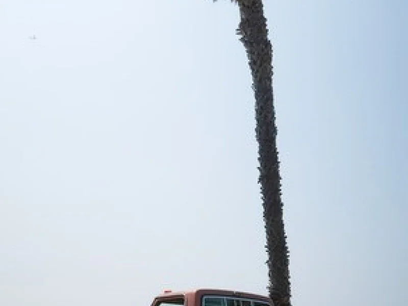 1977 Ford F-150 Ranger XLT 5