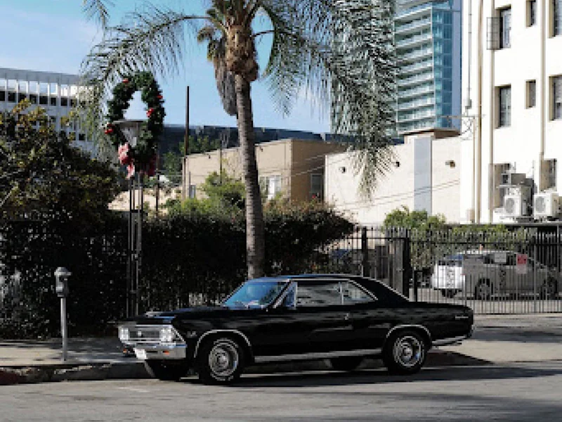 1966 Chevrolet Chevelle Ss 396