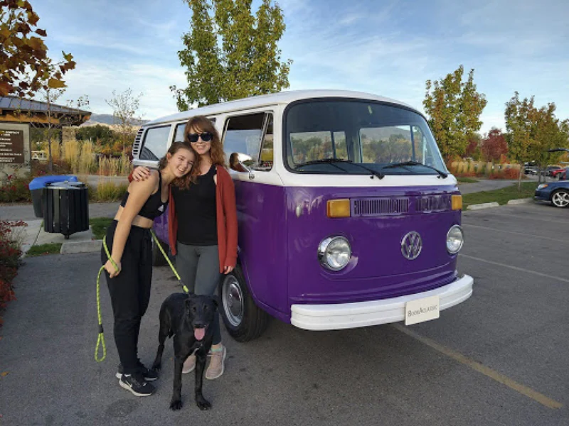 1975 Volkswagen 1975 Transporter Bus