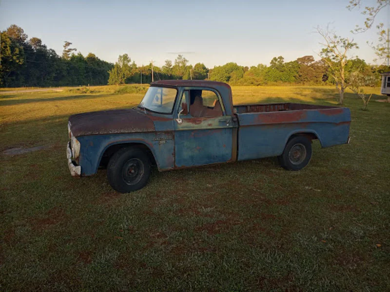 1967 Dodge 100 Sweptline 2