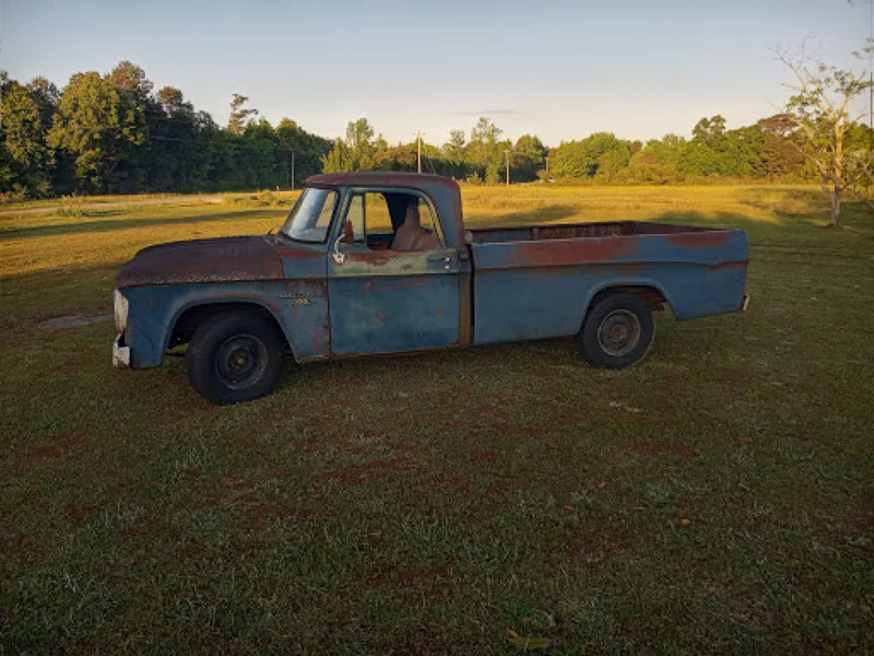 1967 Dodge 100 Sweptline 3