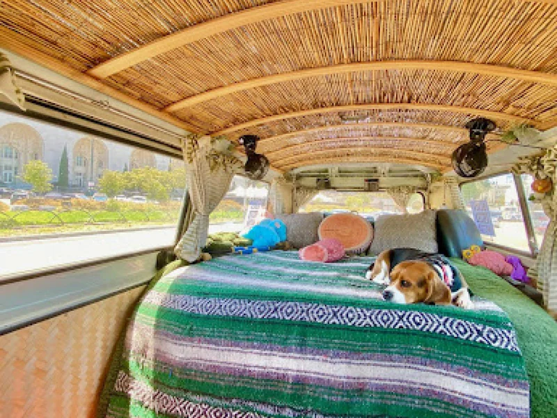 1971 Volkswagen Type 2 Bus