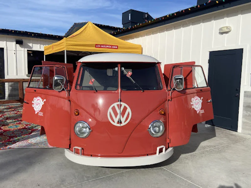 1959 Volkswagen Double Bar Door Panel Bus
