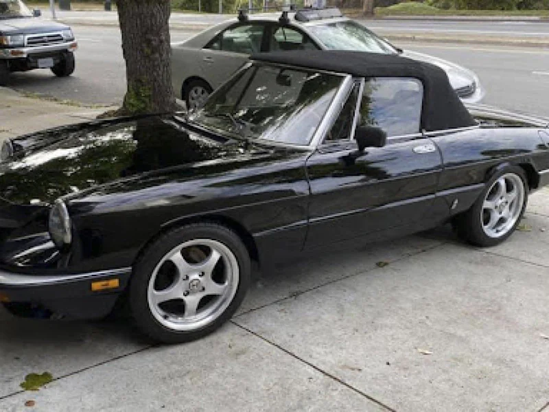 1985 Alfa Romeo Spider 2