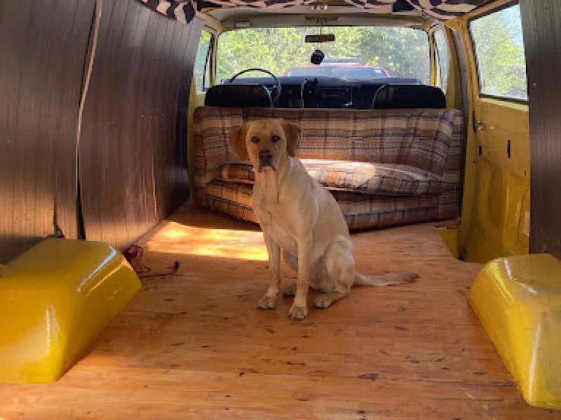 1974 Dodge Tradesman B300 8