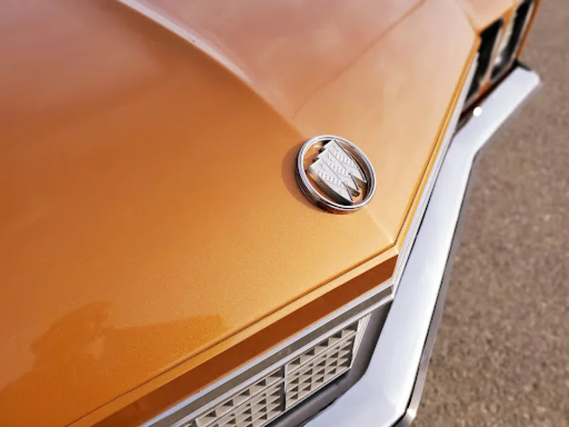 1972 Buick Skylark 4