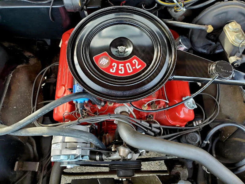 1972 Buick Skylark 6