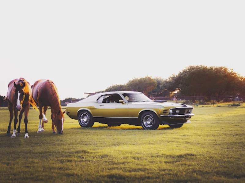 1970 Ford Mustang 3