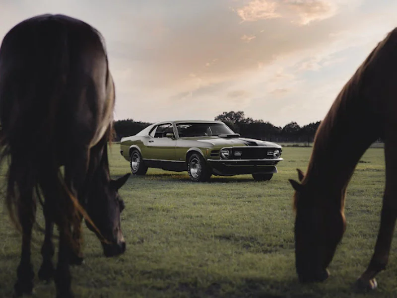 1970 Ford Mustang 6