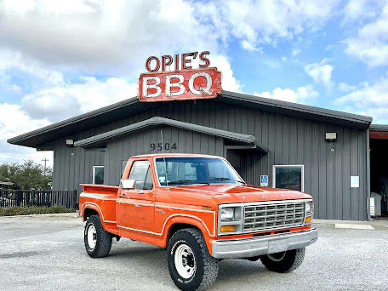 1981 Ford F150 7