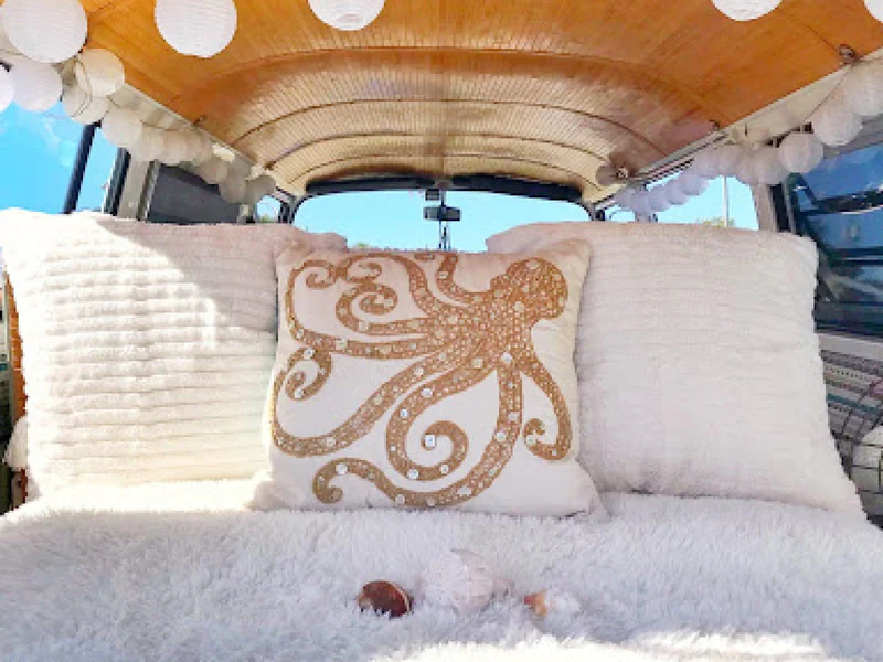 1973 Volkswagen Bus 4