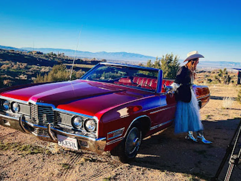 1972 Ford Ltd 7