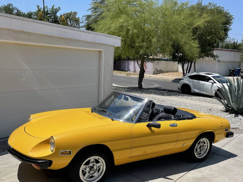 1979 Alfa Romeo Spider 2