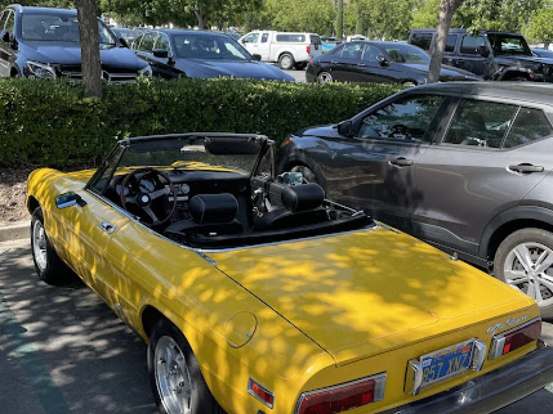 1979 Alfa Romeo Spider 7