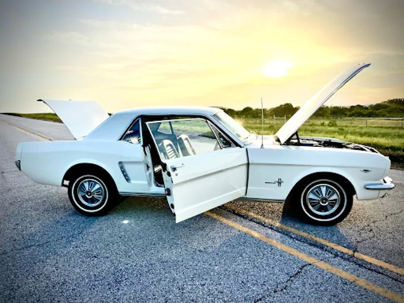 1965 Ford Mustang 5