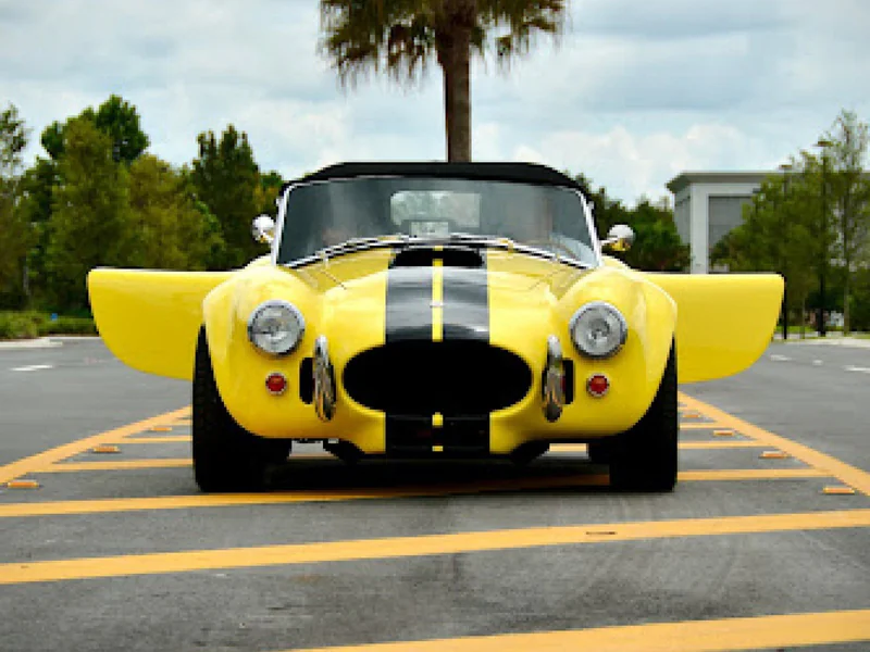 1966 Ford Ac Cobra 10