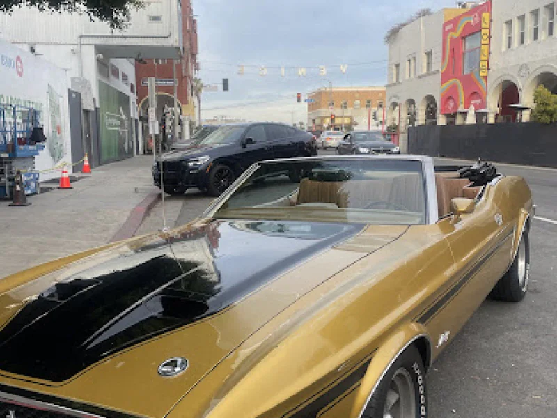 1971 Ford Mustang 1971 2