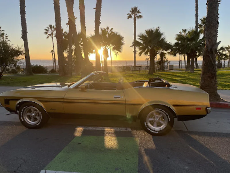 1971 Ford Mustang 1971 3