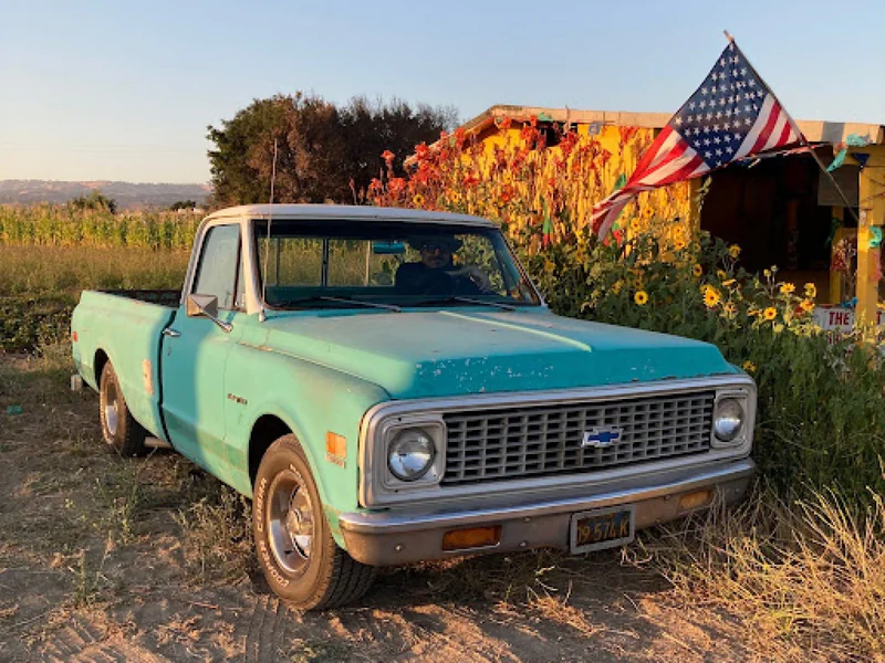 1971 Chevrolet C10 7