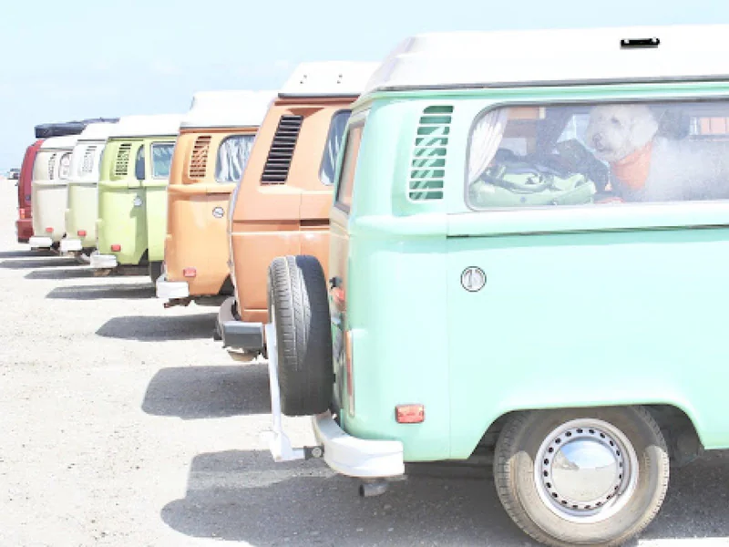 1977 Volkswagen Westfalia